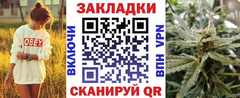 Все наркотики Светлогорск Бошки Шишки  APVP  Гашиш 