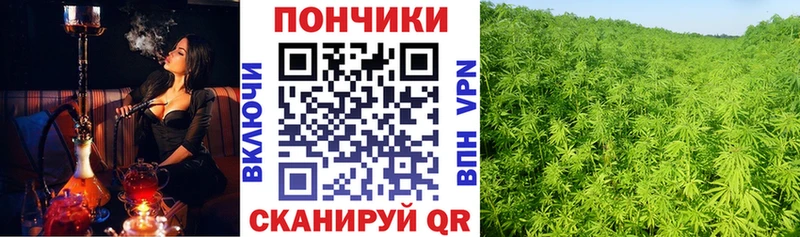 Бошки Шишки Ganja  Светлогорск 